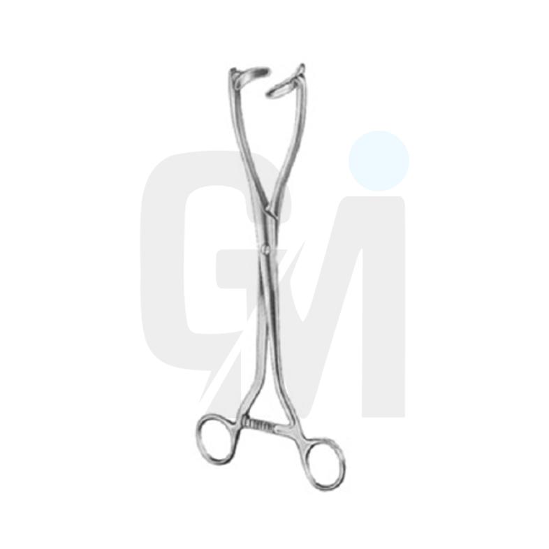 Sponge Holding Forceps