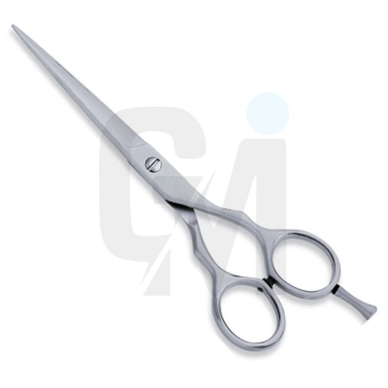 Economy Hair Scissors