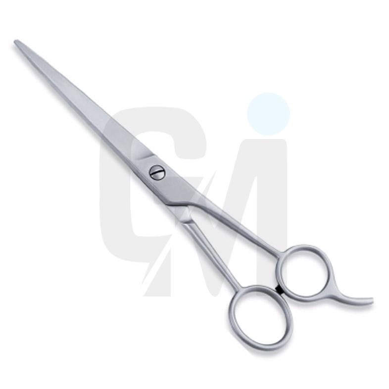 Economy Hair Scissors