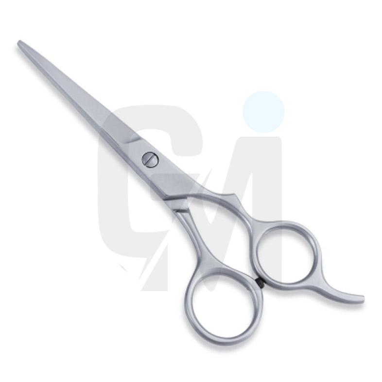 Economy Hair Scissors