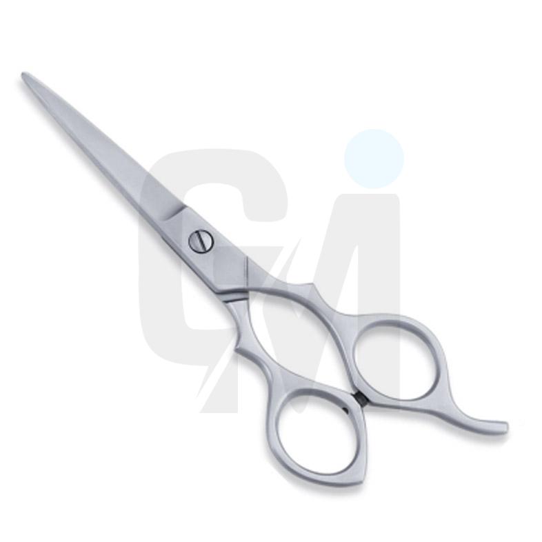 Economy Hair Scissors