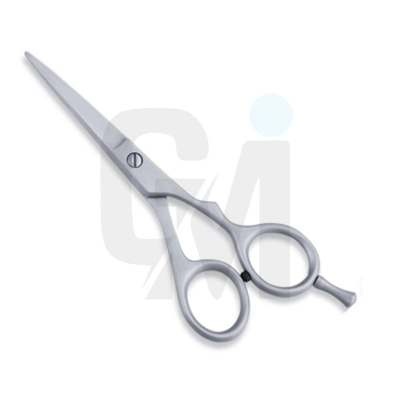 Economy Hair Scissors