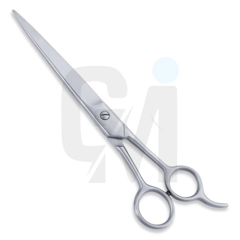 Economy Hair Scissors