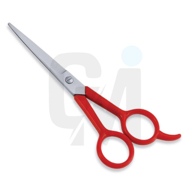 Economy Hair Scissors