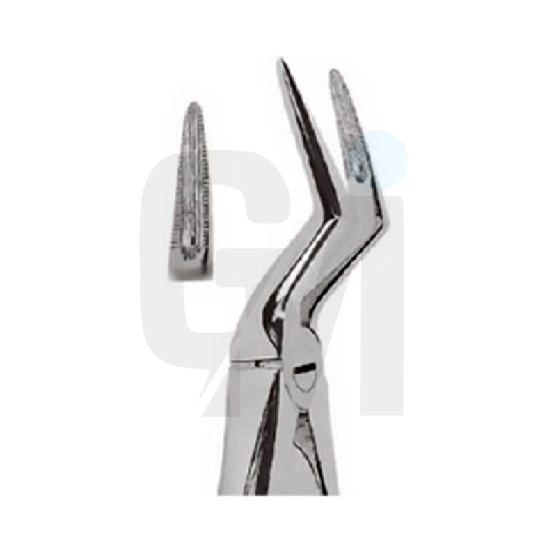 Extracting Forceps