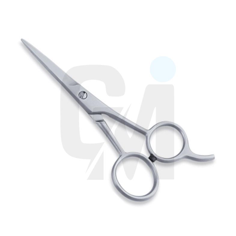 Economy Hair Scissors