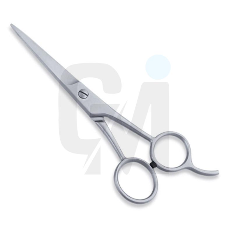 Economy Hair Scissors