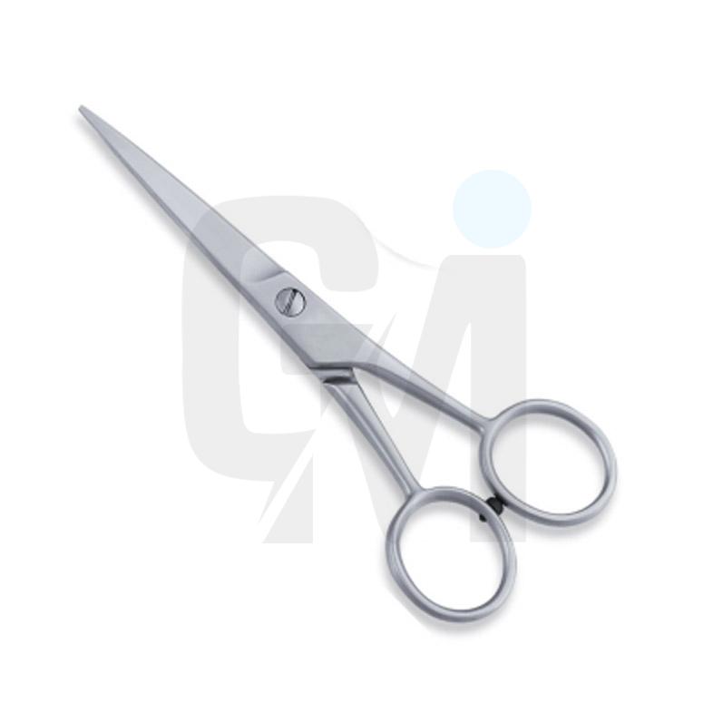 Economy Hair Scissors