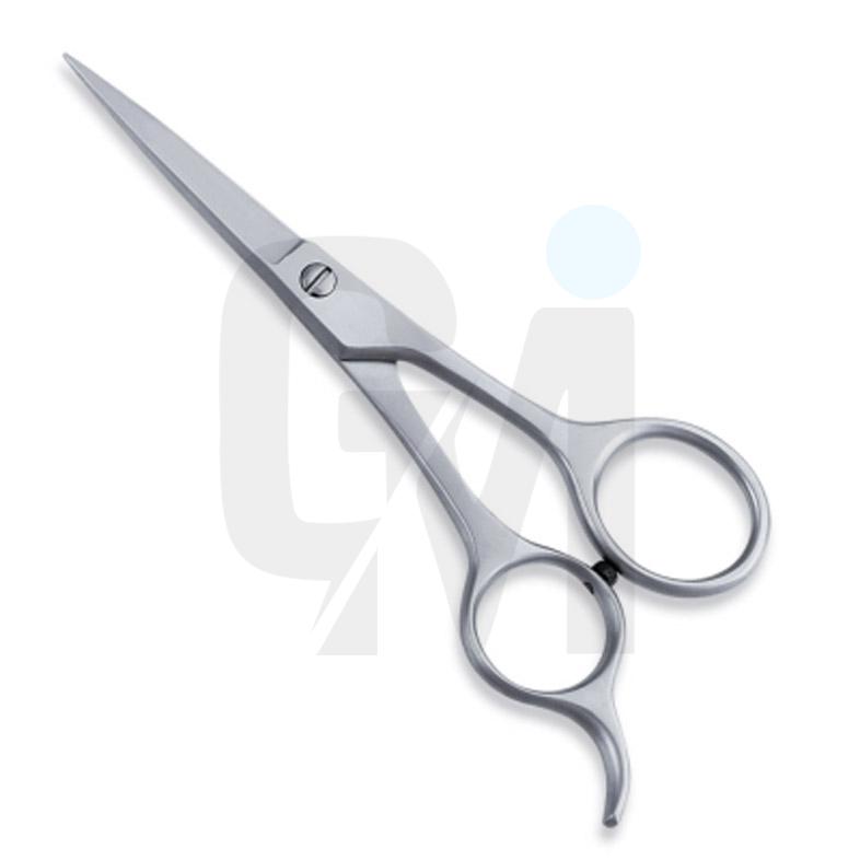 Economy Hair Scissors