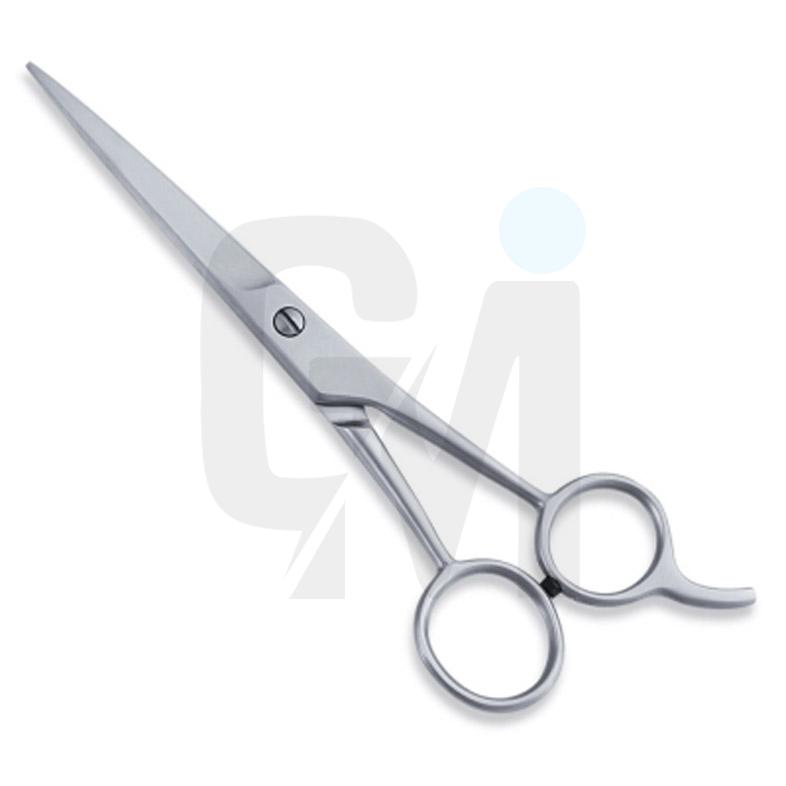 Economy Hair Scissors