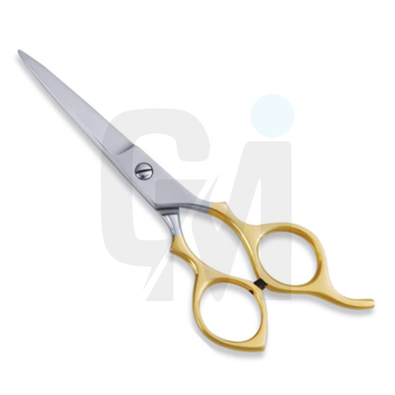 Economy Hair Scissors