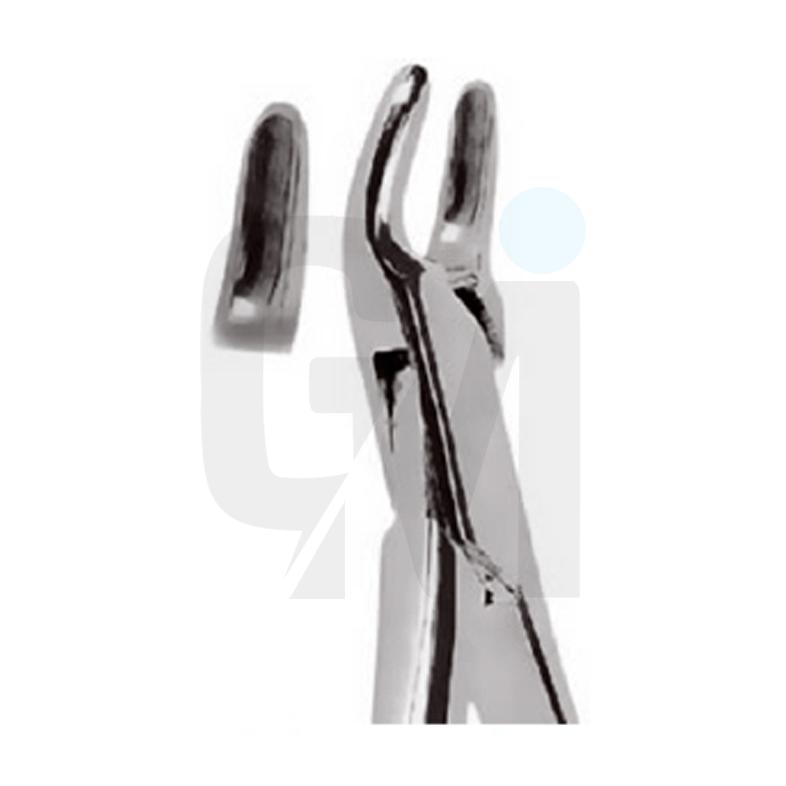 Extracting Forceps